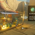 家の中でも旅行はできる！『ゼルダの伝説 ブレスオブザワイルド』を旅レポ風にお届け