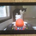 『マリオカート ライブ ホームサーキット』で飼い猫を眺めてみた！ 低視点がこれまでにない新鮮さを生み、猫はいつも通り気まぐれ・・・
