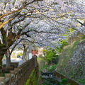 【Travel of Tsushima】聖地巡礼したい境井仁向けリアル対馬旅行ガイド 第二回―リアル対馬でもっとも『Ghost of Tsushima』なのはどこ？5段階評価で「ぽさ」を評価