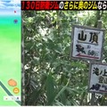 過酷な山奥に放置されたポケモンは、半年間ジム防衛できるのか？片道2時間登山して、検証してみた【ポケモンGO 秋田局】