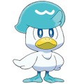 『ポケモンSV』クワッスの特徴から導き出される進化予想…“イケメン水上コック”を連想するファンも！？