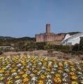 周央サンゴさんとのコラボイベントで話題の「志摩スペイン村」へ行ってきました―コラボ終了前に捧ぐ体験レポート