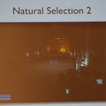 【GDC2011】ゲームの完成前に予約で資金集め、前代未聞の取り組みで制作『ナチュラルセレクション2』
