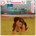 子犬と一緒に暮らすソーシャルペットゲーム『どこでもペット かわいい子犬』 