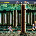 1993年にメガドライブで発売されたアクションゲーム『ザ・スーパー忍II』の3DS向け移植作