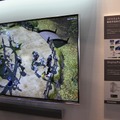 【CEATEC 2013】パナソニックブースは4Kで『FF XIV』や『Project Cars』を展示