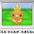 登場するポケモンは毎日日替わり