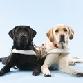 「公益財団法人日本盲導犬協会」