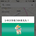 やせいのポケモンを発見!