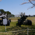 陸上自衛隊土浦駐屯地で戦車と一緒にお花見をしてきた