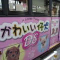 『かわいい仔犬DS』のかわいいラッピングバスが運行中