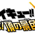 3DS『ハイキュー!! 繋げ!頂の景色!!』9月25日発売 ― 限定版には、あの幻のRPG『ハイキュークエスト』が