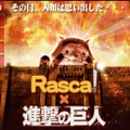 「あらいぐまラスカル」が「進撃の巨人」とコラボ…グッズを5月13日より販売