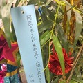 「傷物語」秋葉原で七夕イベント　神谷浩史、坂本真綾、花澤香菜らが願ったこととは？