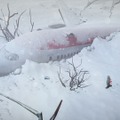 雪山サバイバルADV『インパクト・ウインター』Steam版は4月12日配信、PS4版も発売決定