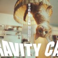 重力猫のかわいらしさが世界でも高評価！？『GRAVITY DAZE 2』のCM「GRAVITY CAT」が国際広告賞でグランプリを獲得