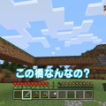 「よゐこのマイクラでサバイバル生活」第5回が公開、小学生『マイクラ』ガチ勢からの手紙にふたりもタジタジ！？