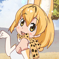 アニメ「けものフレンズ」、映像化プロジェクトに関する報告を公開…「ヤオヨロズより辞退の話を受けた」