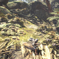『モンハン：ワールド』の絶景・名所「調査拠点/古代樹の森/大蟻塚の荒地」編―PS4 Proで激写