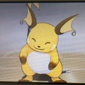 インドぞうを倒しまくりそうなポケモン10選