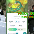 攻撃力激高なレックウザ、今こそ育成のススメ【ポケモンGO 秋田局】