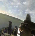 【E3 2012】『人喰いの大鷲トリコ』の不在についてソニー幹部がコメント