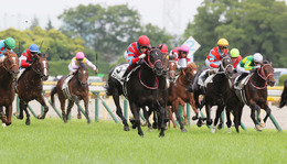 『ウマ娘』応援ミッション開催中！競馬の祭典「日本ダービー」の歴史と三冠馬・ナリタブライアンを紹介！【特集】【UPDATE】