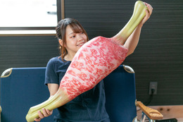 上手に焼けました！『モンハン』生肉、こんがり肉が実寸サイズの「多目的まくら」になって登場