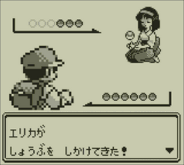 駆け出しゲーマーの頃、初めて100時間以上遊んだゲームは何だったか覚えてる？