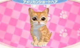 かわいい子猫3D