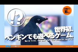 ペンギンでも遊べるゲーム!? 中裕司氏の新作タイトルがTGSで発表に!?