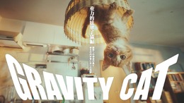 重力猫のかわいらしさが世界でも高評価!?『GRAVITY DAZE 2』のCM「GRAVITY CAT」が国際広告賞でグランプリを獲得