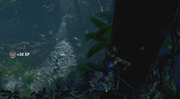 ジャングルとひとつに…『シャドウ オブ ザ トゥームレイダー』プレイ映像!【E3 2018】