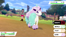 『ポケモン ソード・シールド』新ポケモン「ポニータ(ガラルのすがた)」公開!ファンシーな見た目のエスパータイプに