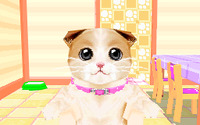 2匹ならではのお世話が楽しめる『かわいい子猫DS3』公式サイトオープン 画像