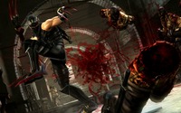 ドイツで『NINJA GAIDEN 3: Razor's Edge』が発売禁止に 画像