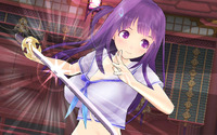 PS Vita版『ヴァルキリードライヴ』画面が初公開！これが“攻撃的爆乳ハイパーバトル”だ 画像