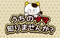「うちのタマ知りませんか」アニメ化決定、35周年に向けて新展開 画像