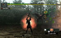 Wii版『モンスターハンターG』狩りの必需品「武器」と訓練所について情報公開 画像