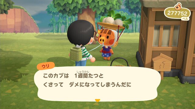 『あつまれ どうぶつの森』“カブ”であなたも億万長者!?　儲かる・便利・意外な使い道のあるカブ取引をはじめよう