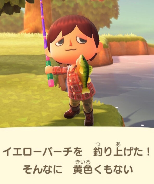 冷たい川のぬし！『あつまれ どうぶつの森』で釣れる「パイク」ってどんな魚？【平坂寛の『あつ森』博物誌】