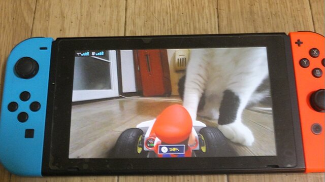 『マリオカート ライブ ホームサーキット』で飼い猫を眺めてみた！ 低視点がこれまでにない新鮮さを生み、猫はいつも通り気まぐれ・・・