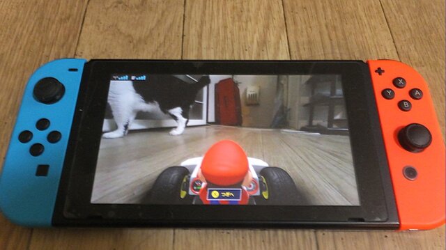 『マリオカート ライブ ホームサーキット』で飼い猫を眺めてみた！ 低視点がこれまでにない新鮮さを生み、猫はいつも通り気まぐれ・・・