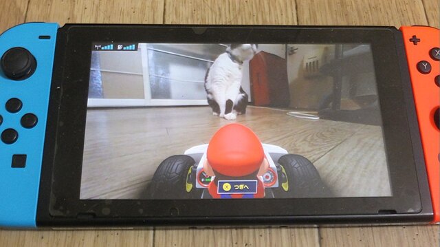 『マリオカート ライブ ホームサーキット』で飼い猫を眺めてみた！ 低視点がこれまでにない新鮮さを生み、猫はいつも通り気まぐれ・・・