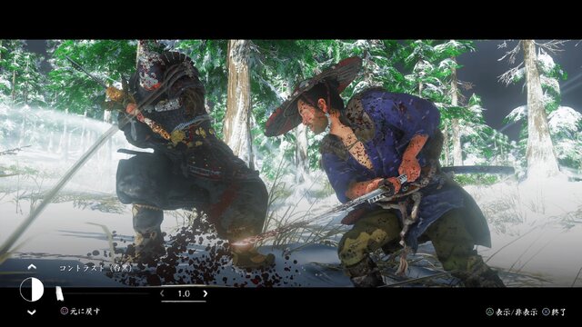 『Ghost of Tsushima』色彩を制するものが「映え」を制す―フォトジェニックなフィルター＋新機能編