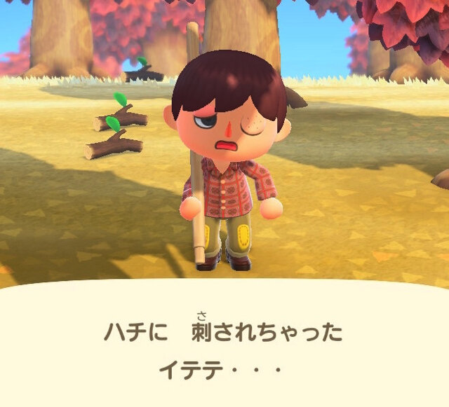 木を揺らして巣が落ちてくるって現実にあり得る？『あつまれ どうぶつの森』の「ハチ」について【平坂寛の『あつ森』博物誌】