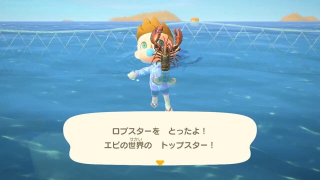 あつまれどうぶつの森 魚 値段 一覧