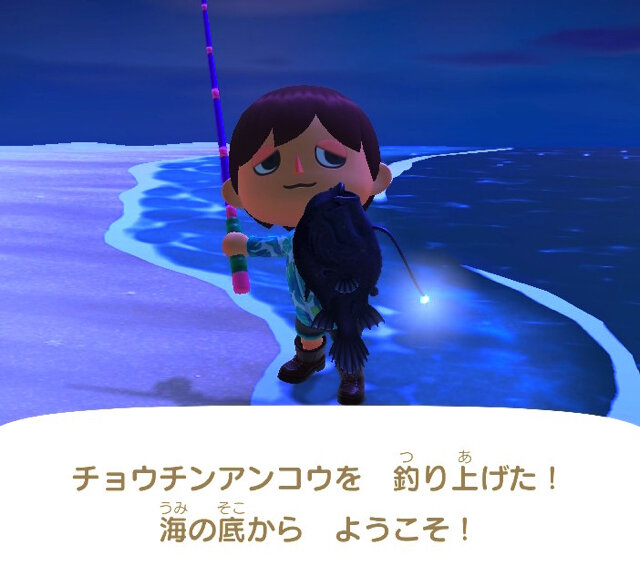 メスにオスが取り込まれる あつまれ どうぶつの森 に登場する チョウチンアンコウ ってどんな魚 平坂寛の あつ森 博物誌 インサイド メスにオスが取り込まれる あつまれ どうぶつの森 に登場する チョウチンアンコウ ってどんな魚 平坂寛の あつ森 博物誌 インサイド