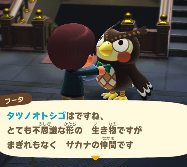 見た目の派手さは擬態のため！『あつまれ どうぶつの森』で釣れる「タツノオトシゴ 」の秘密【平坂寛の『あつ森』博物誌】