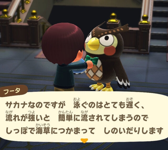 見た目の派手さは擬態のため！『あつまれ どうぶつの森』で釣れる「タツノオトシゴ 」の秘密【平坂寛の『あつ森』博物誌】